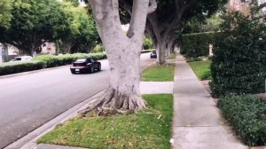 Прогулка по Беверли Хиллс Лос-Анджелес | Родео Драйв | Красивые дома