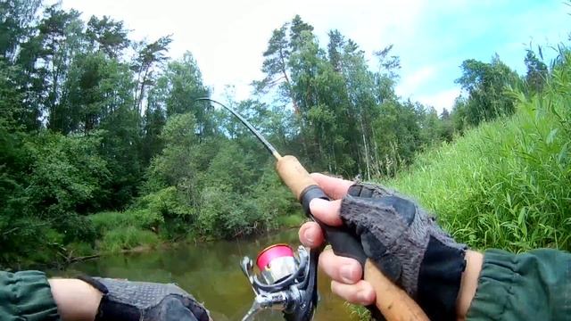 Хариус и Форель 2 реки два вида рыб смотреть онлайн