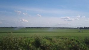 Поливальные машины в поле