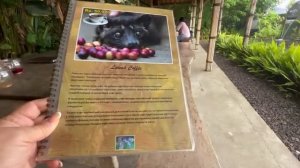 Олег Зубков на Бали! Самый ДОРОГОЙ КОФЕ-Лювак, Левак или разводняк???