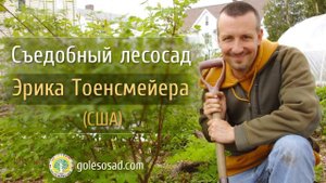 СЪЕДОБНЫЙ ЛЕСОСАД ЭРИКА ТОЕНСМЕЙЕРА (США)