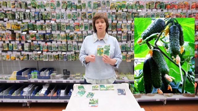 Выбираем семена огурцов для теплицы и улицы. смотреть онлайн