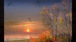 Песня ОСЕННИЕ  ЖУРАВЛИ  Исп Н Елка