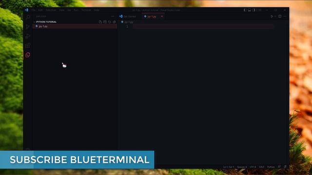 Python - Installing python | setup in VS Code | Run your 1st code | #python