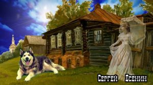 Сукин сын стихотворение Сергея Есенина