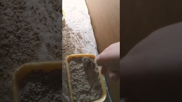 Перепеленок играет! смотреть онлайн