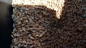 Лучшая мельница-сенорезка