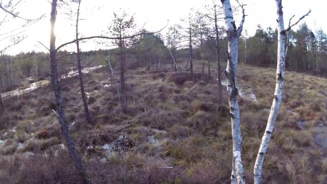 Geocaching.Что бывает при переходе через адские болота. смотреть онлайн