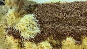 Удивительно вкусно! НАРЫН, ПЛОВ, ДЖИЗ БИЗ и МАСТАВА / Узбекская уличная еда