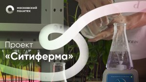 Проект «Ситиферма»