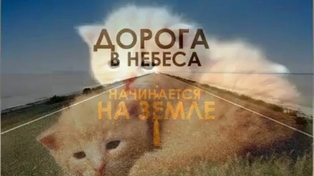 Христианские Песни - Любовь сошла с небес без разделенья смотреть онлайн