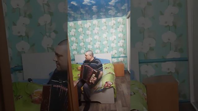 песня молодого гармониста!!! смотреть онлайн