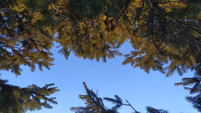 7 февраля. ДЕНЬ ГРИГОРИЯ.Народные приметы и традиции