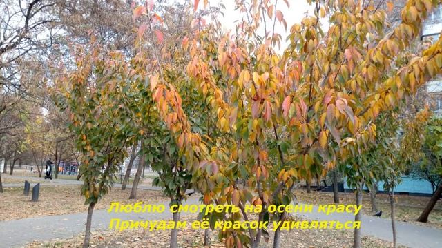 Щедра осенняя пора!