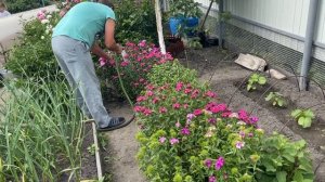 211Переезд в Россию, купили дом в Сибири! Сюрприз к празднику ! Что с лицом  Ялуторовск