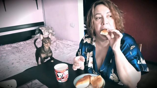 ВЛОГ Кушаем ВМЕСТЕ с БИМОШКОЙ! ТОЙ ТЕРЬЕР ест пирожки с КАРТОШКОЙ! МУКБАНГ и БОЛТАЛКА о ТОЙЧИКАХ ! смотреть онлайн