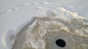 Будет ли клевать осётр зимой в пруду.