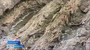 На раскопках в Александрове археологи обнаружили печать 15 века