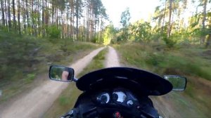 Прорыв сквозь лес,на спорт туристе ззр 1100