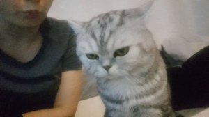 Признание в любви