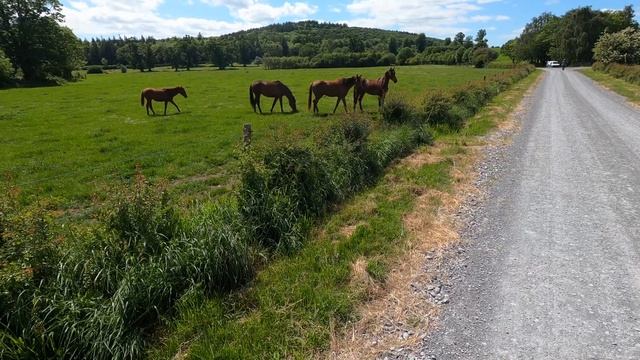 Ирландия ☘️ Зелёный изумрудный остров ... Карантин 2020 смотреть онлайн