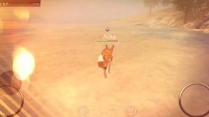 Wild Animals Online: Как появилась Aúka:3