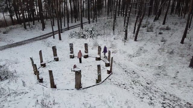 Зимняя прогулка в пикник парке
