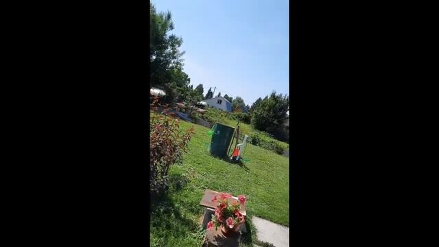 ПРОМО ВЕСЕЛЫЕ ВЫХОДНЫЕ // ДАЧА // КУПАНИЕ смотреть онлайн