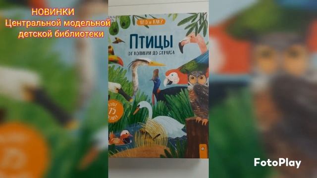 Новинки Центральной модельной детской библиотеки г.Фокино смотреть онлайн