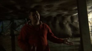Тетра НВ с Венгрии, цветной бройлер, черная голошейка