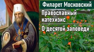 О десятой заповеди / Филарет Московский (Дроздов). Во что мы веруем. Православный катехизис