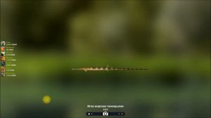 рыба Игла морская тонкорылая, редкие рыбы в игре Трофейная рыбалка 2