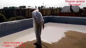 Жидкая кровля