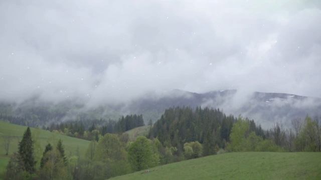 Ретрит Випассана - Погружение в Тишину. Что это такое? смотреть онлайн