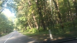 на машине через лес