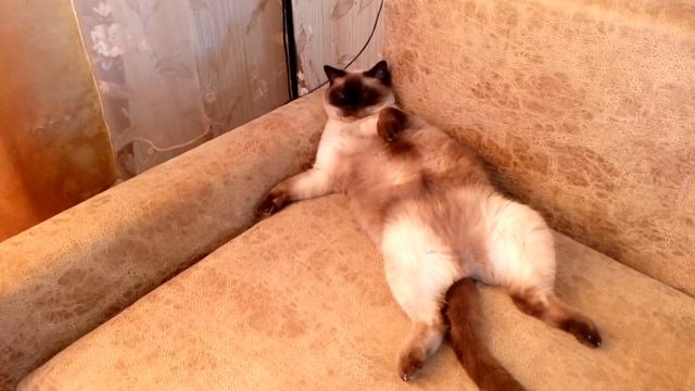 Марфуша смотреть онлайн