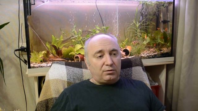 ЛИКБЕЗ для начинающих птицеводов.Урок №3:Плотность посадки птицы.Сколько кур содержать в курятнике?