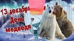 Видео кукольной инсценировки ненецкой народной сказки «Белый медведь и бурый медведь»
