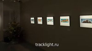 Светильники для картин, икон, фотографий (музеев). Трековые светильники