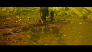 Кинг Конг_ Остров Черепа_