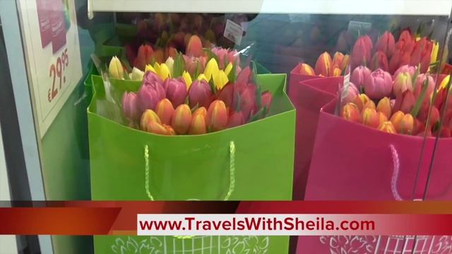 Magnificent Amsterdam Schiphol Airport смотреть онлайн