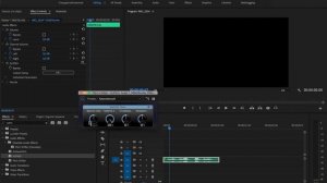 Как ускорить аудио БЕЗ ИСКАЖЕНИЯ голоса в Adobe Premiere Pro?