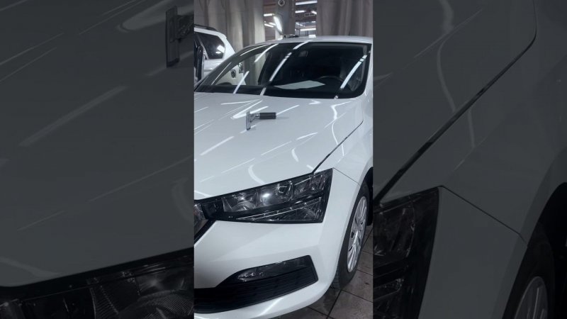 Защита лобового стекла Skoda #Rapid