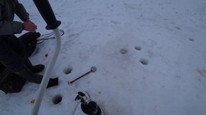 Раздача чебака в Обской протоке. Зимняя рыбалка  2021-2022.#рыбалка#зимняярыбалка