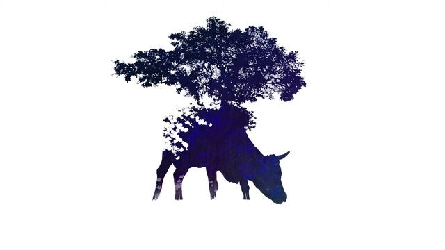 Крошечка Хаврошечка смотреть онлайн