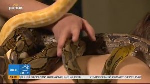 Секреты красоты: змеиный массаж