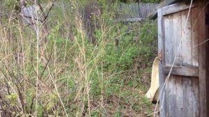 СНТ " Пищевик" участок 9 соток с фундаментом.