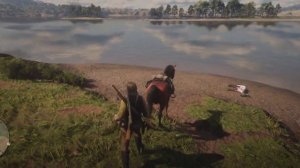 Гайд по охоте для новичков Red Dead Redemption 2
