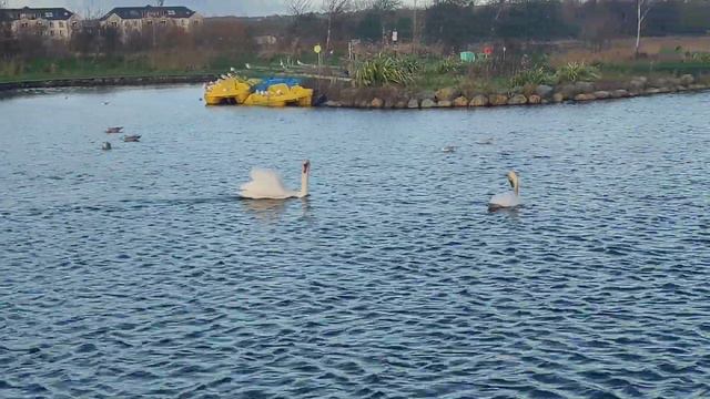 На озере смотреть онлайн