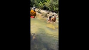 NUDE BATH IN THE MOUNTAIN STREAM